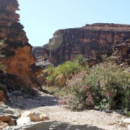 À la découverte du sud du Maroc