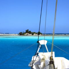 Location de catamaran avec skipper en Martinique