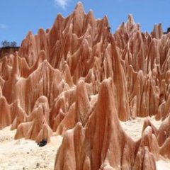Guide-organisateur de circuits à Madagascar