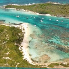 Patou excursion bateau