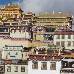 Pékin, un centre historique chinois à découvrir le temps d’un voyage
