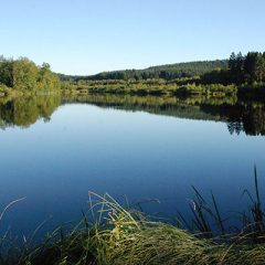 Un séjour en gîte rural dans le Morvan