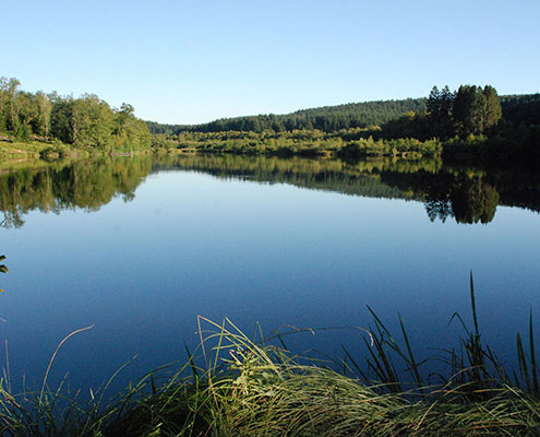 parc-morvan