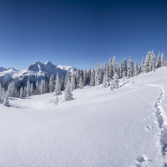 Mieux connaître les bienfaits du ski