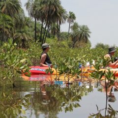 Voyagez solidaire dans le Sine Saloum, et soutenez un projet pour développer l’éducation et l’éco-construction au Sénégal