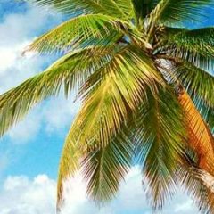 7 questions à la fondatrice de Meet to Travel, Eloïse Greiner