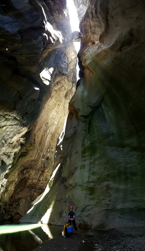 canyon-fleurs-jaunes-la-chapelle