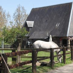NORMANDIE CHALLENGE
