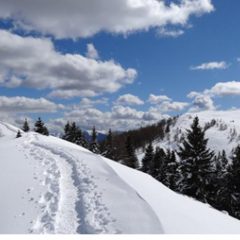 BALADE DANS LA REGION PACA