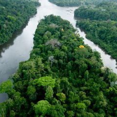 Une aventure en Guyane