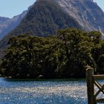 Milford-Sound-Nouvelle-Zelande