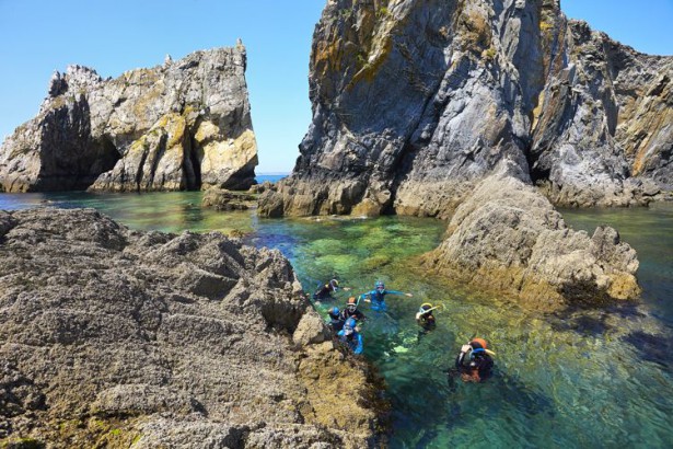 balade palmée à camaret sur mer - Snorkeling en Bretagne