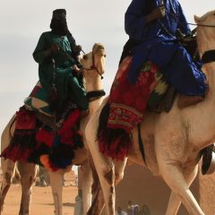 À la rencontre des plus surprenants animaux du Mali