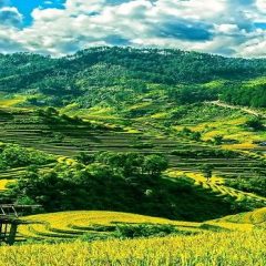 Découvrez la culture locale et la nature impressionnant à Sapa