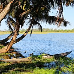 Madagascar ou l’île aux mille visages