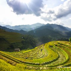 Vacances Tour, le spécialiste des voyages sur mesure au Vietnam et Indochine