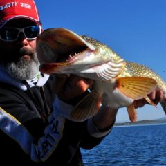 Vivre un séjour guidé pêche des grands brochets et gros black bass en Espagne, un rêve pour beaucoup, une réalité pour certain.