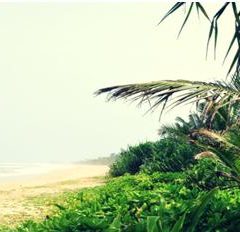 Top 5 des meilleurs endroits touristique au Sri-Lanka