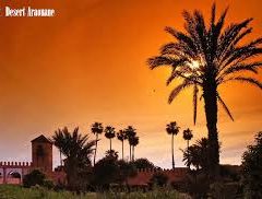 Séjour au sud Maroc