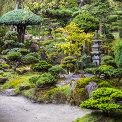 Le Japon : une destination intéressante à découvrir