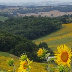 L’Astarac balcon des Pyrénées ou découvrir le Gers autrement