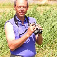 Prenez soin de vos jumelles de vue durant les vacances