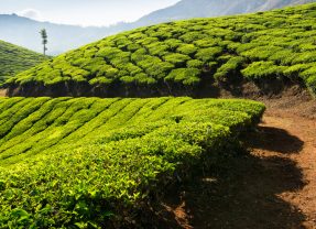 Voyager en Inde au féminin