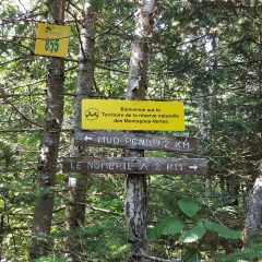 Réserve naturelle des Montagnes-Vertes au Québec