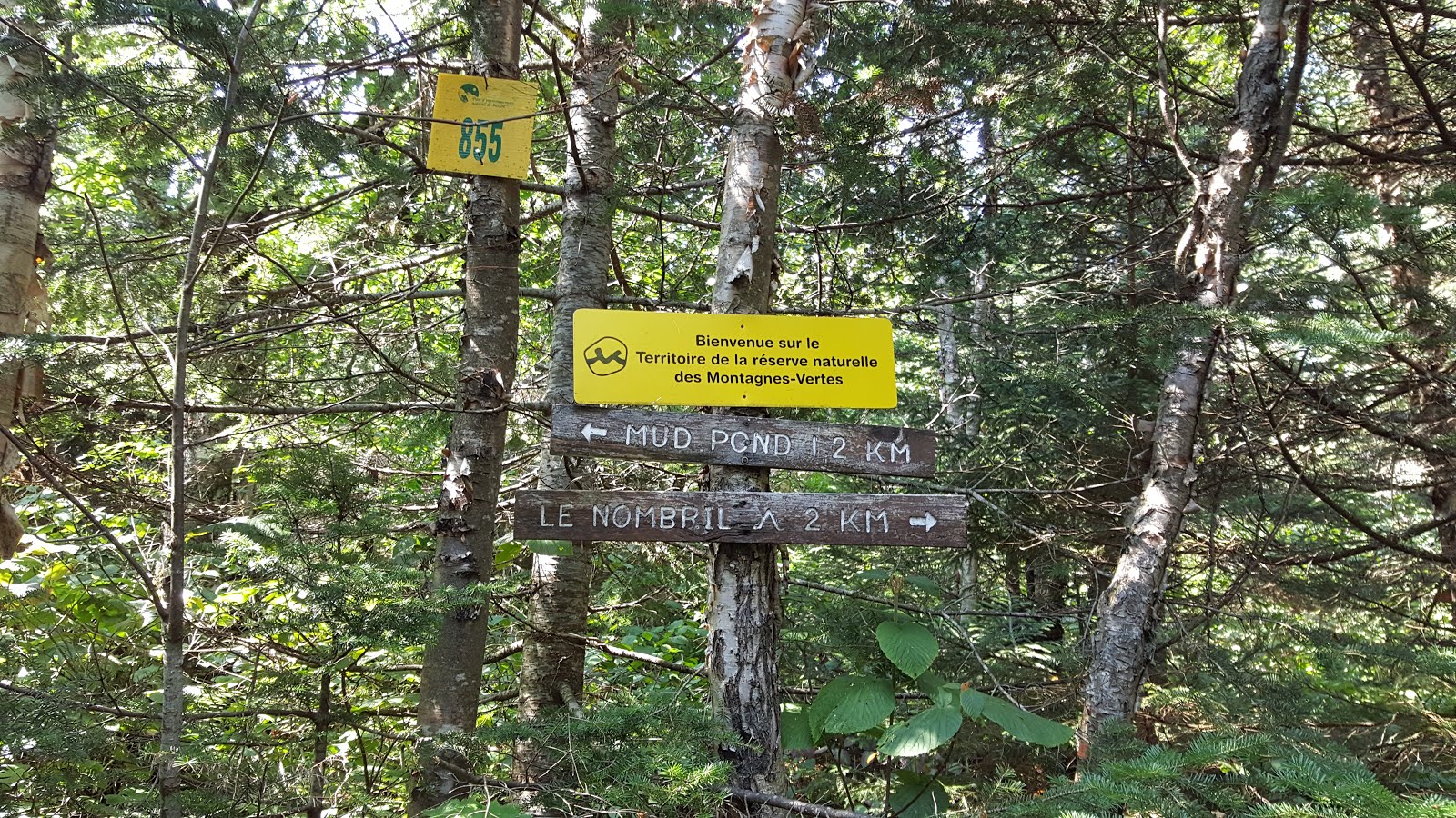 Réserve naturelle des MontagnesVertes au Québec Pointe du Monde