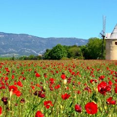 «Le Luberon, idées de week-end.»