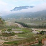 Sapa