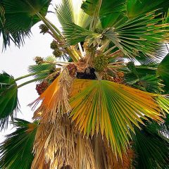 DECOUVRIR LA CASAMANCE (Sud du Sénégal)