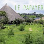 ecolodge-le-papayer