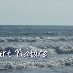 Banniere-mer-de-Celine-Photos-Art-Nature