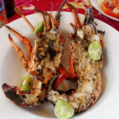 Les langoustes de Madagascar