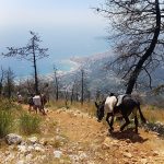 Randonnée Anes Alpes-Maritimes