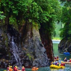 Découvrir le Costa Rica dans toute sa splendeur