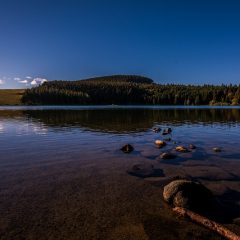 Profitez de vos vacances en France pour pêcher la carpe!