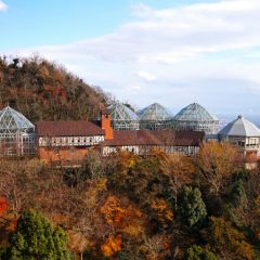 Kobé, la superbe ville japonaise