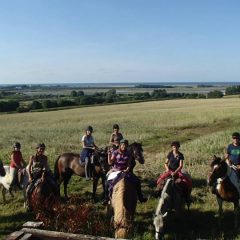 Centre Equestre de la Lys