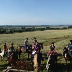 Centre Equestre de la Lys