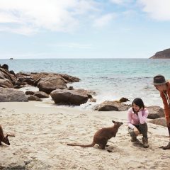 La Tasmanie dans toute sa splendeur