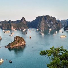 Envie d’explorer la Baie d’Halong en bateau?