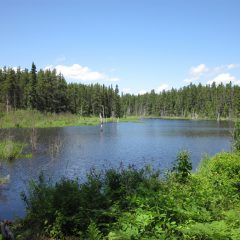 Les différents atouts du parc national du Jura