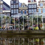 Amsterdam-marche-aux-fleurs