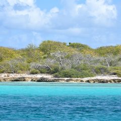 Découvrir les Caraïbes autrement au gré de vos envies !