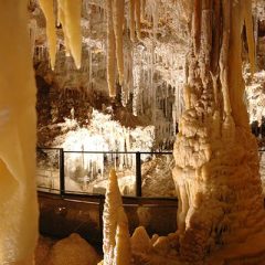 La grotte de Clamouse: pour découvrir, comprendre et s’émerveiller en famille ou entre amis.