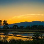 agriculture-1822443_960_720