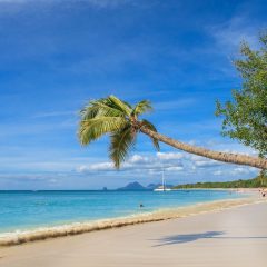 PARTIR EN GUADELOUPE (POINTE A PITRE)