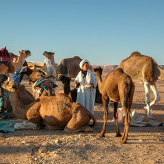 Le tourisme villageois, un concept inédit pour passer ses vacances au Maroc